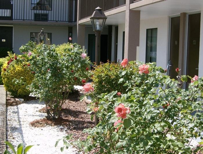 Shelbyville Inn - Shelbyville, Tn 37160 外观 照片